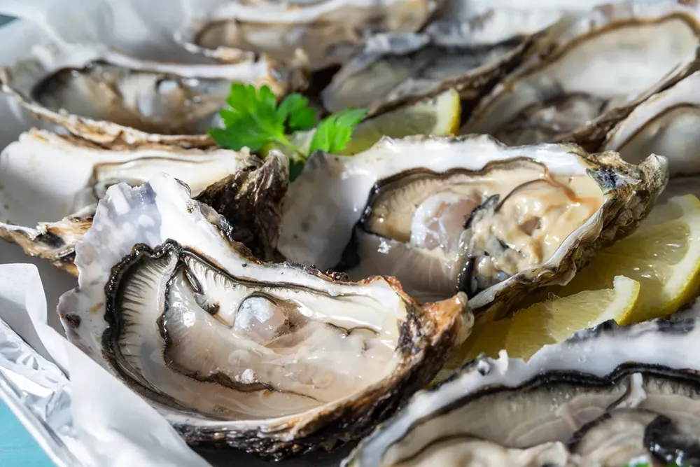 Huîtres près de Mauves-sur-Loire